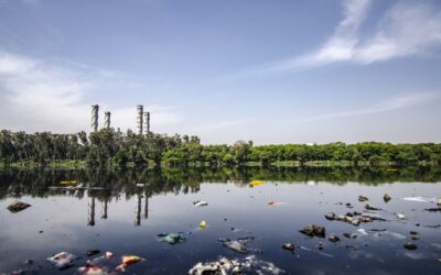 Staying Updated on Regulations on Emerging Contaminants